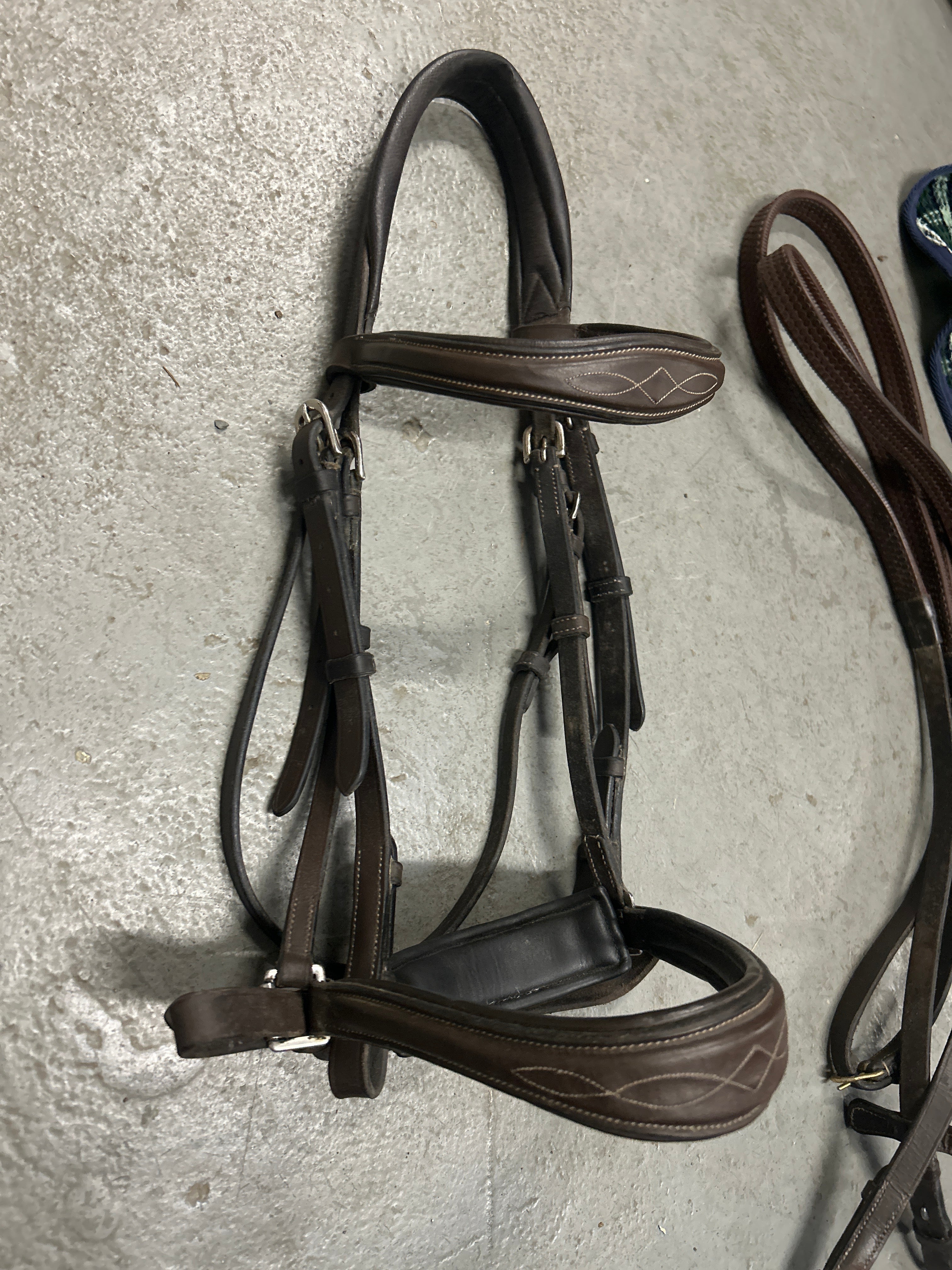 Exion Anatomic Bridle with Reins-Bridle-Consignment-Evolution Equestrian Co.