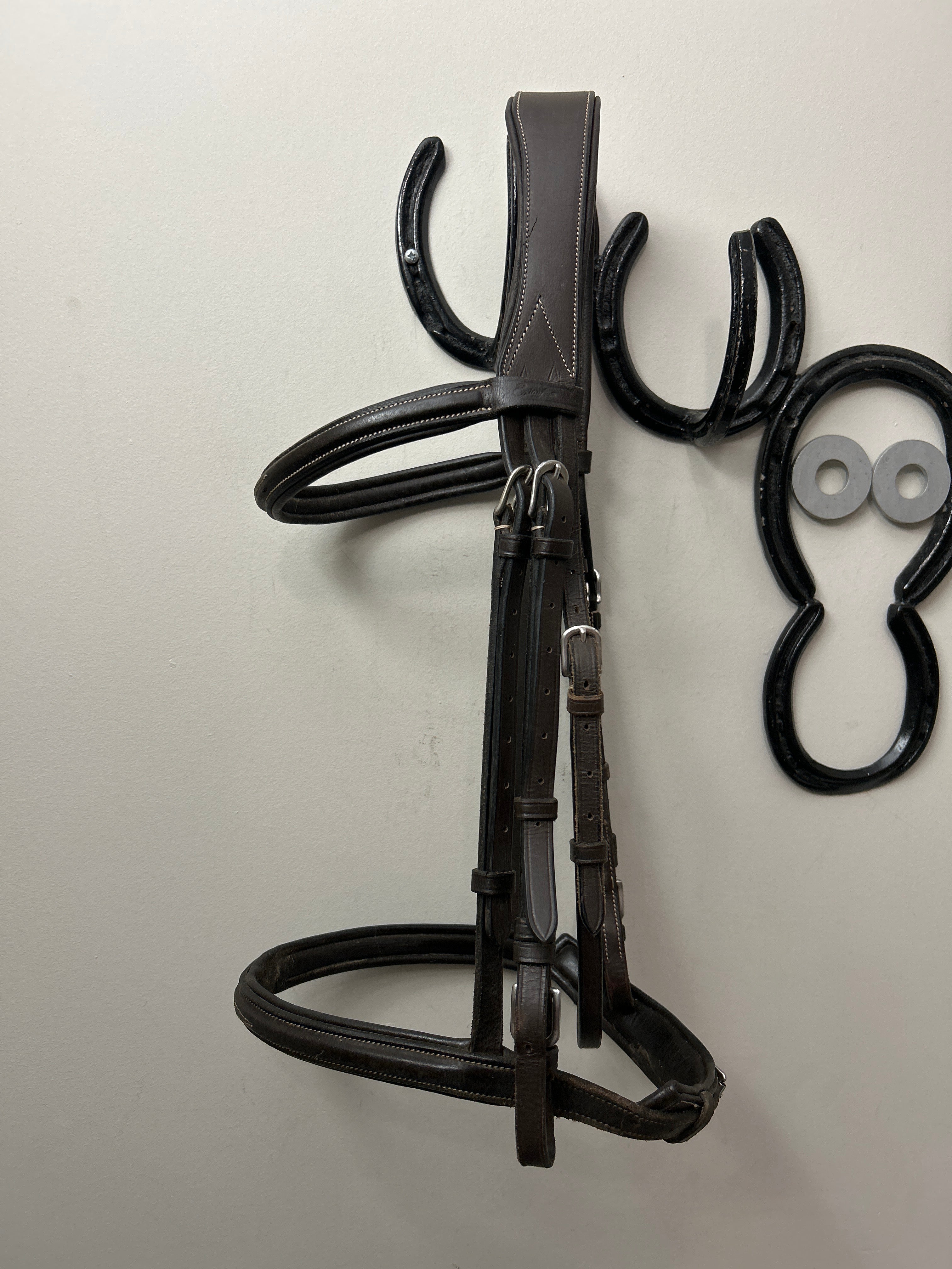 ExionPro Hunter Bridle Brown Warmblood-Bridle-Consignment-Evolution Equestrian Co.