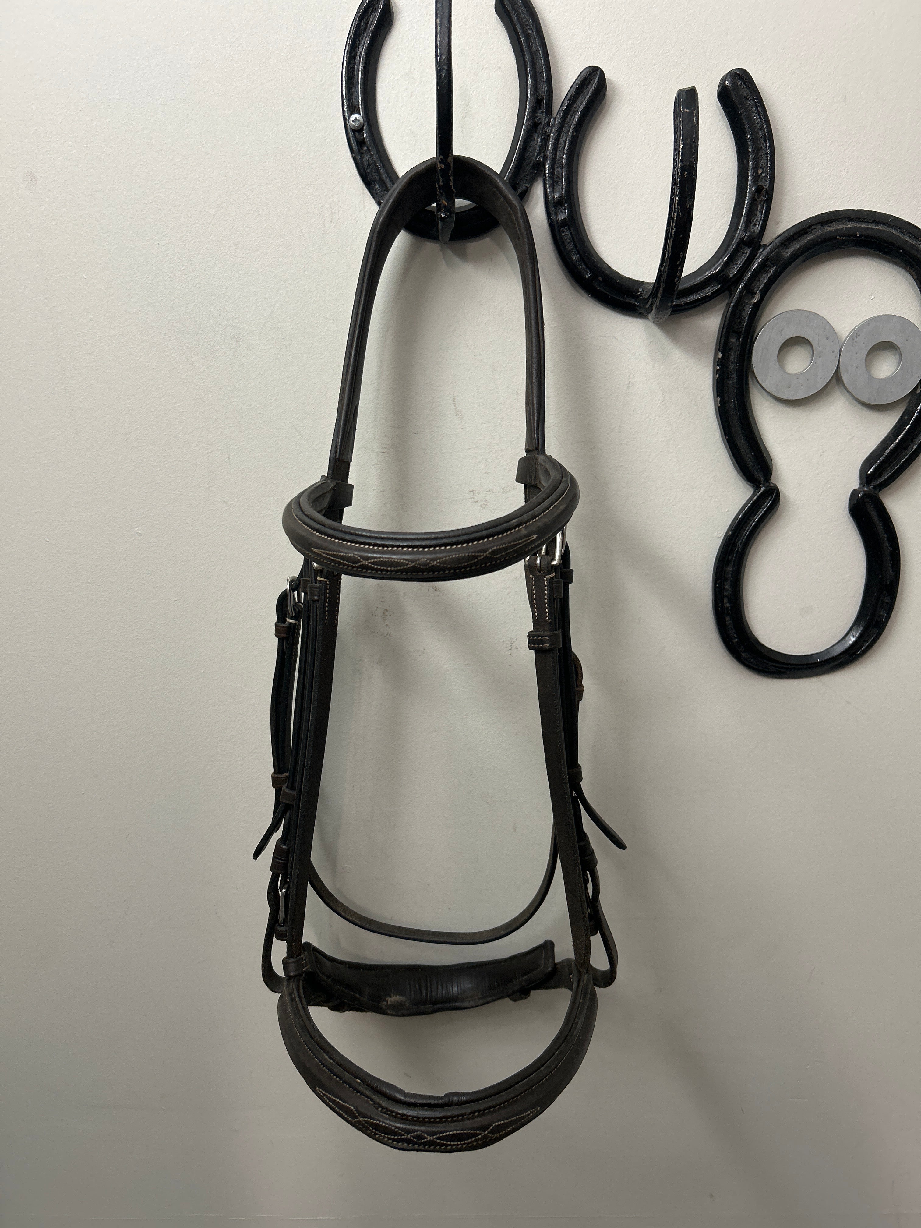 ExionPro Hunter Bridle Brown Warmblood-Bridle-Consignment-Evolution Equestrian Co.
