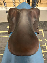 Load image into Gallery viewer, 18&quot; Voltaire Palm Beach 3AA
