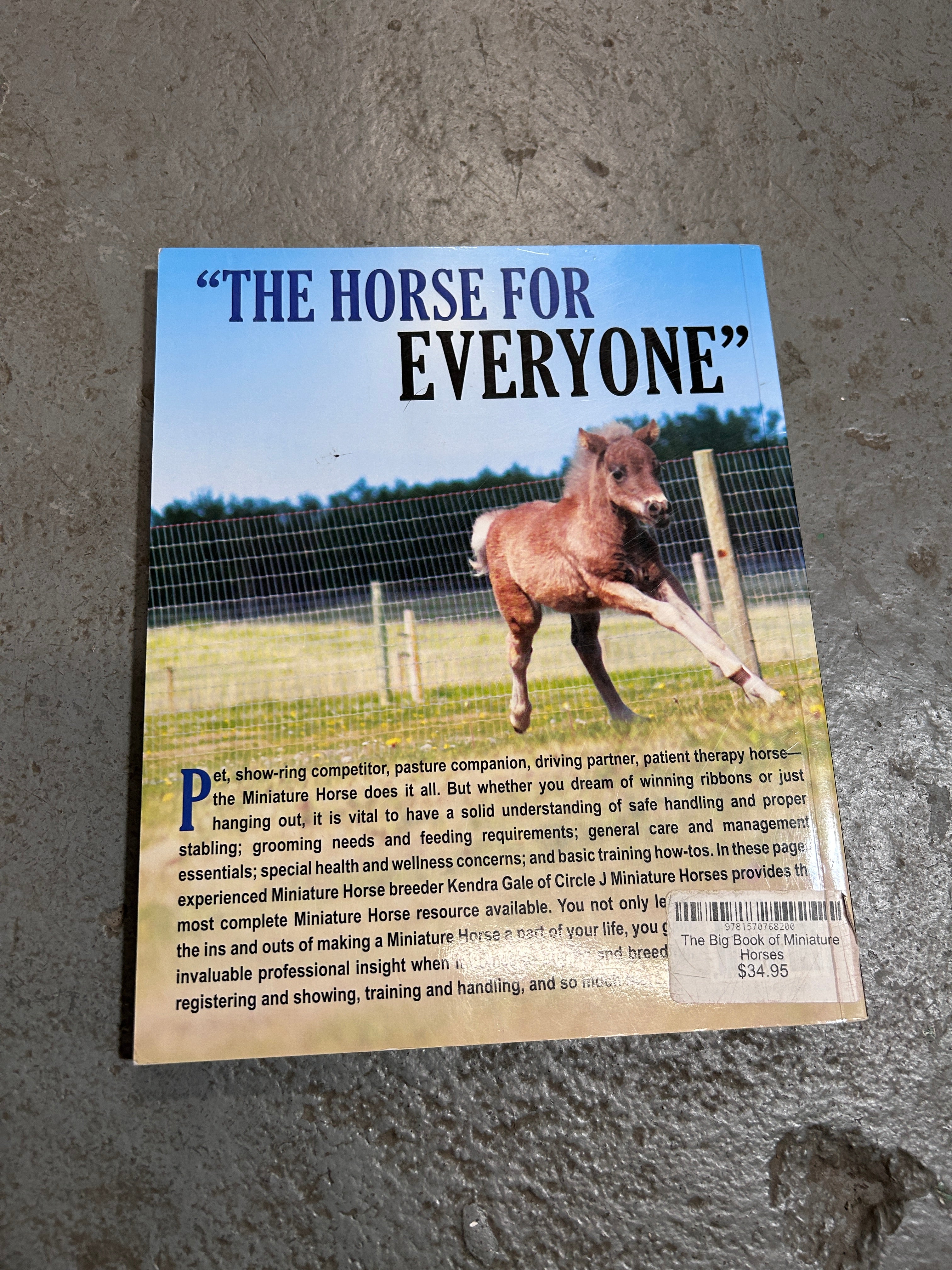 The Big Book of Miniature Horses by Kendra Gale