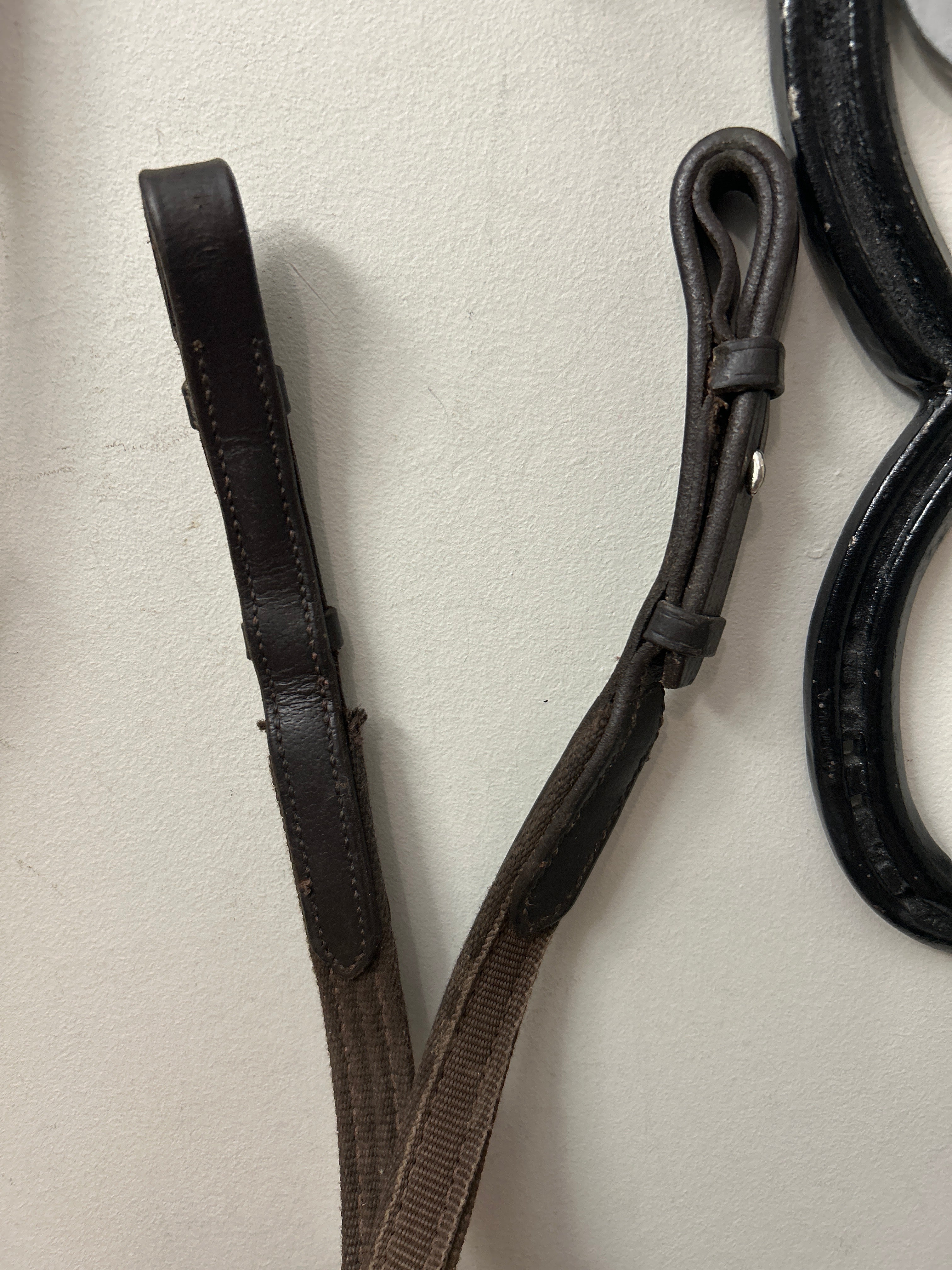 Coloured Webbed Reins