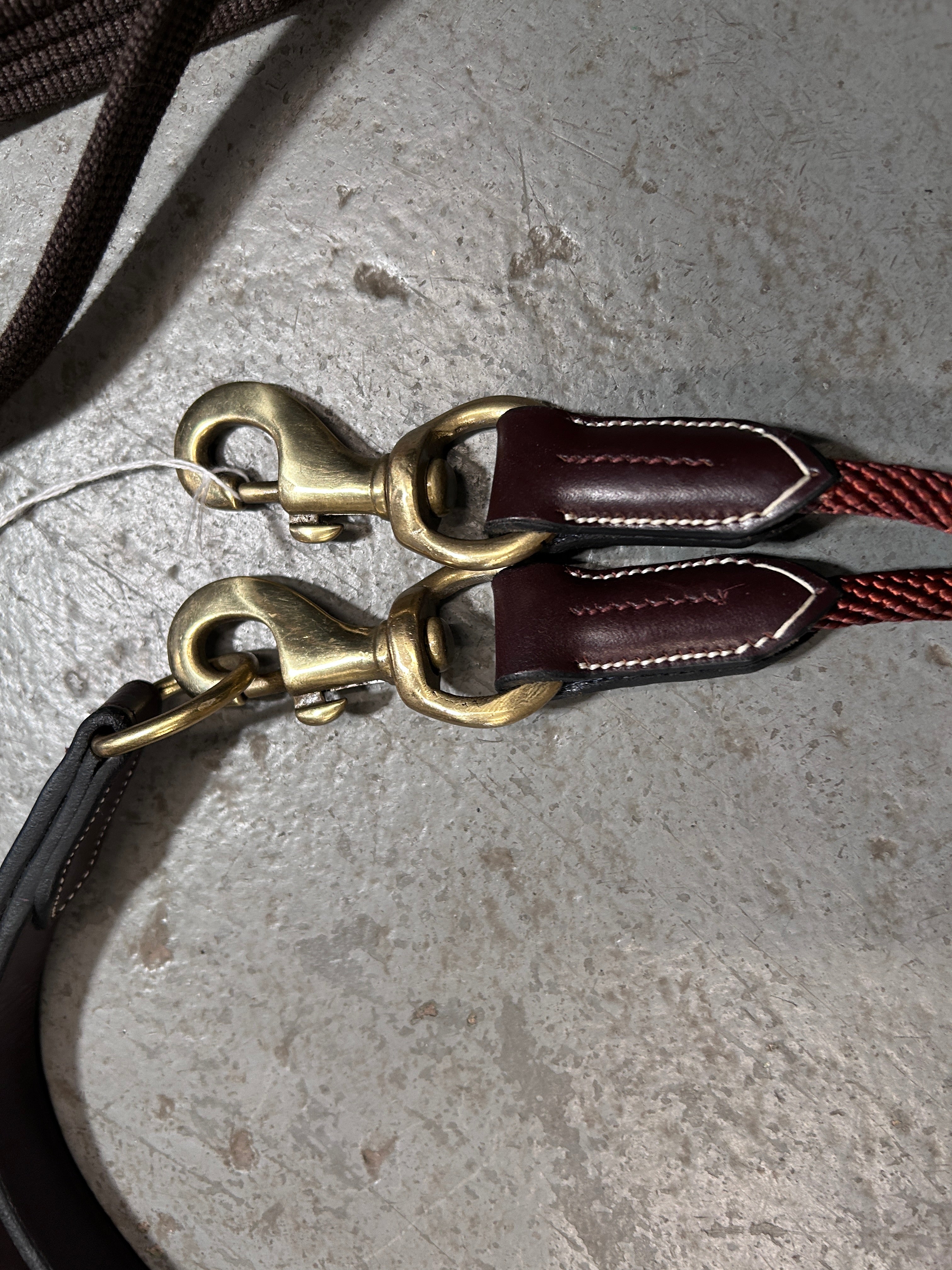 Rope and Web Draw Reins