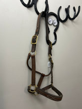 Load image into Gallery viewer, Standing Martingale Warmblood
