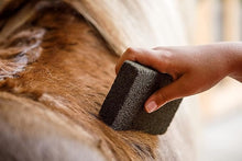 Load image into Gallery viewer, Farnam Slick N Easy Grooming Block-Horse Brush-Canadian Centurion Supply-Evolution Equestrian Co.
