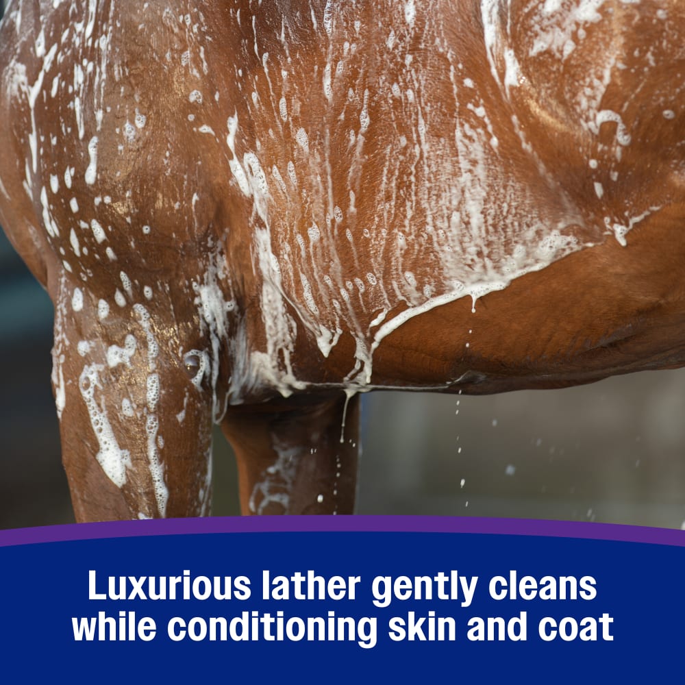 Farnam Vetrolin Body Wash-Pet Shampoo & Conditioner-Canadian Centurion Supply-Evolution Equestrian Co.