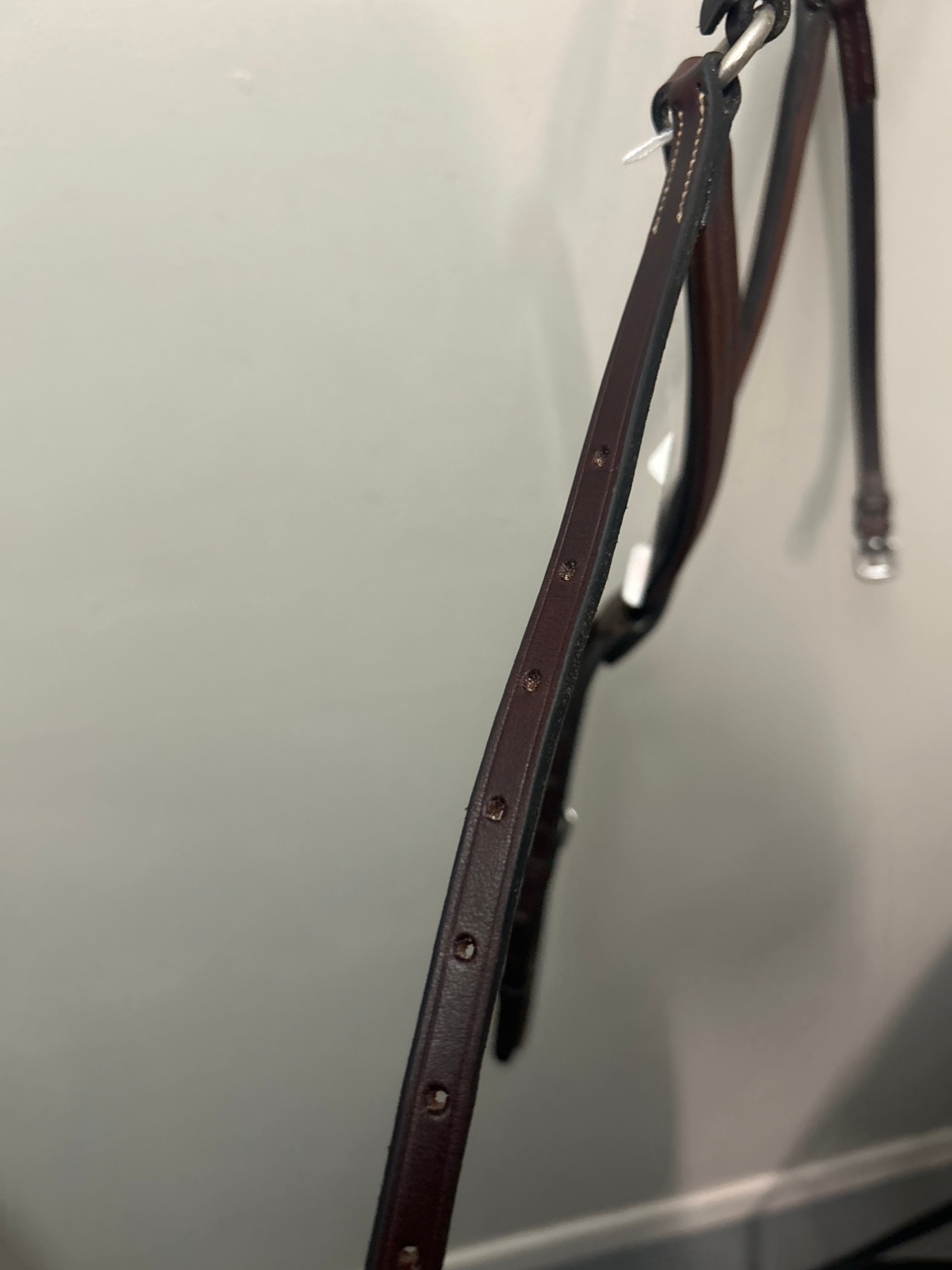 Figure 8 Noseband-English Bridle-Consignment-Evolution Equestrian Co.