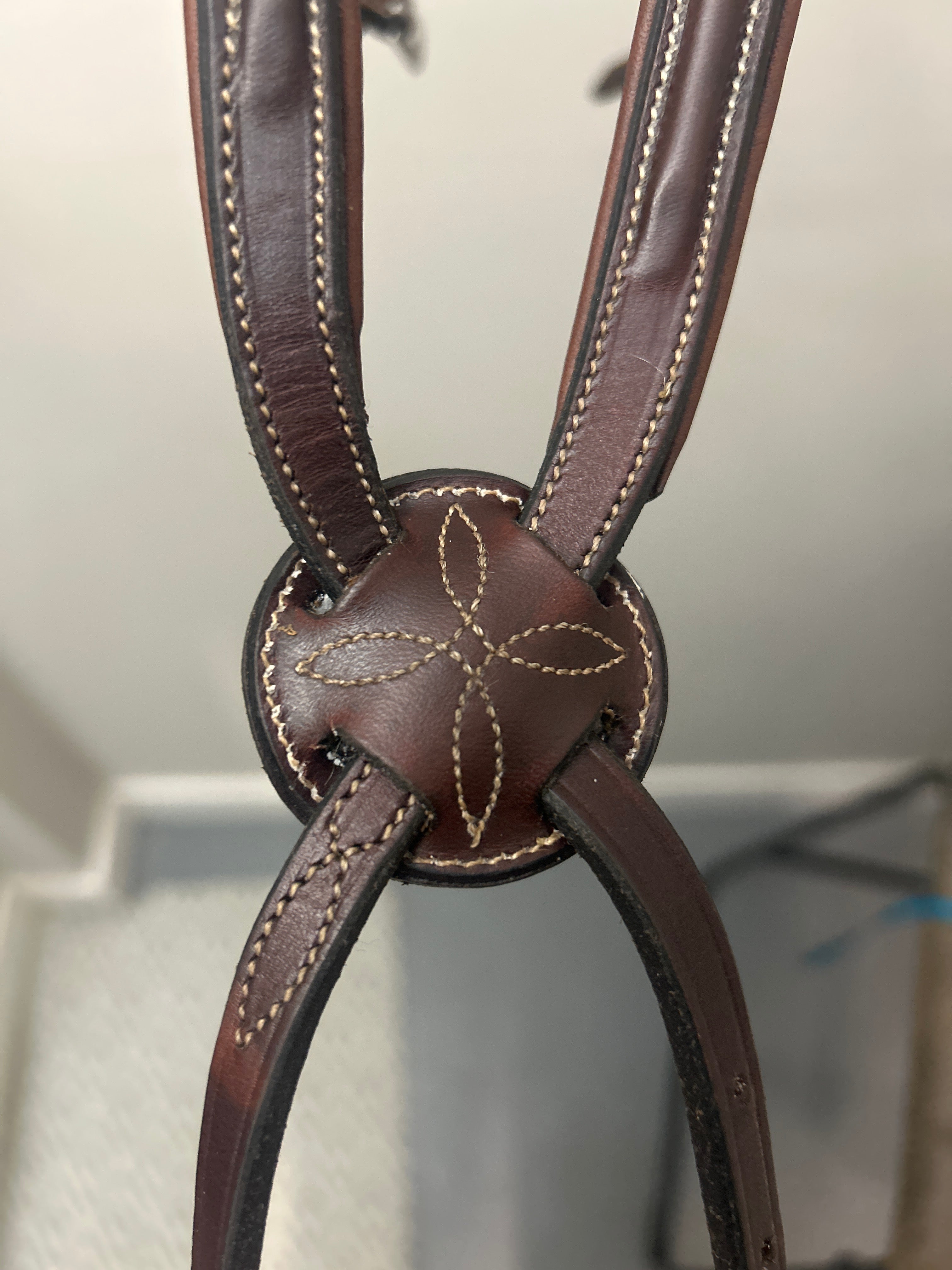 Figure 8 Noseband-English Bridle-Consignment-Evolution Equestrian Co.