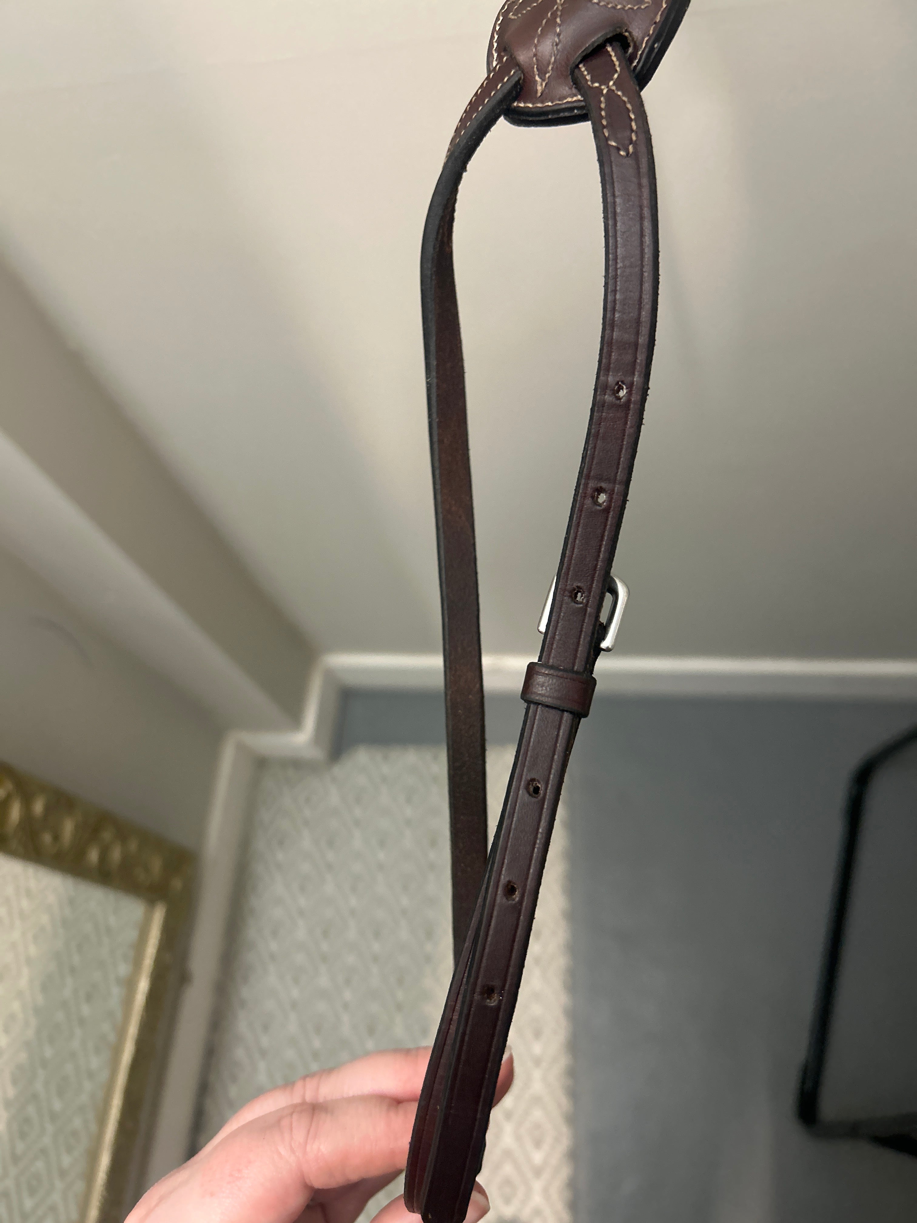 Figure 8 Noseband-English Bridle-Consignment-Evolution Equestrian Co.