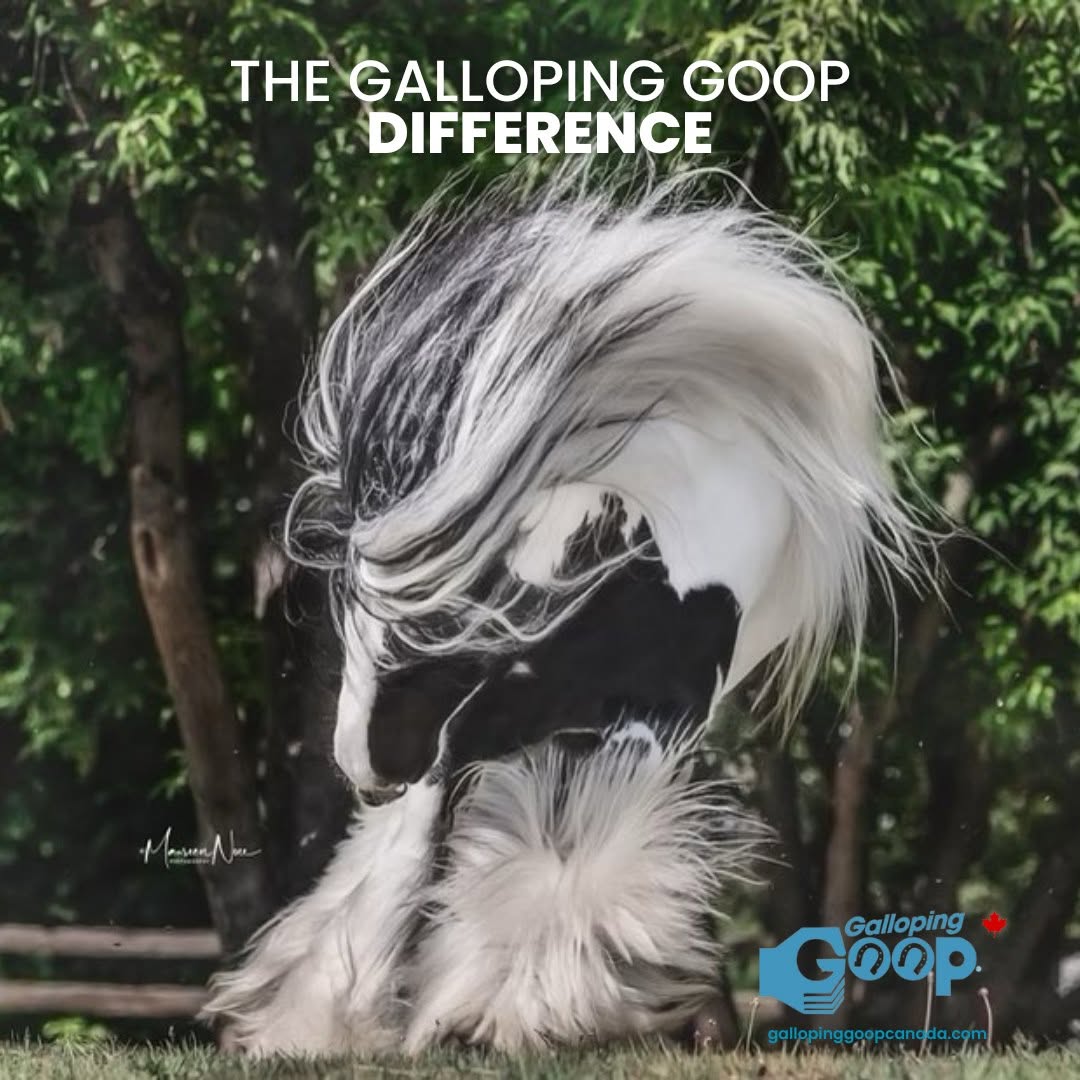 Galloping Goop Hi Ho Silver Whitening Shampoo-Pet Shampoo & Conditioner-Canadian Centurion Supply-Evolution Equestrian Co.