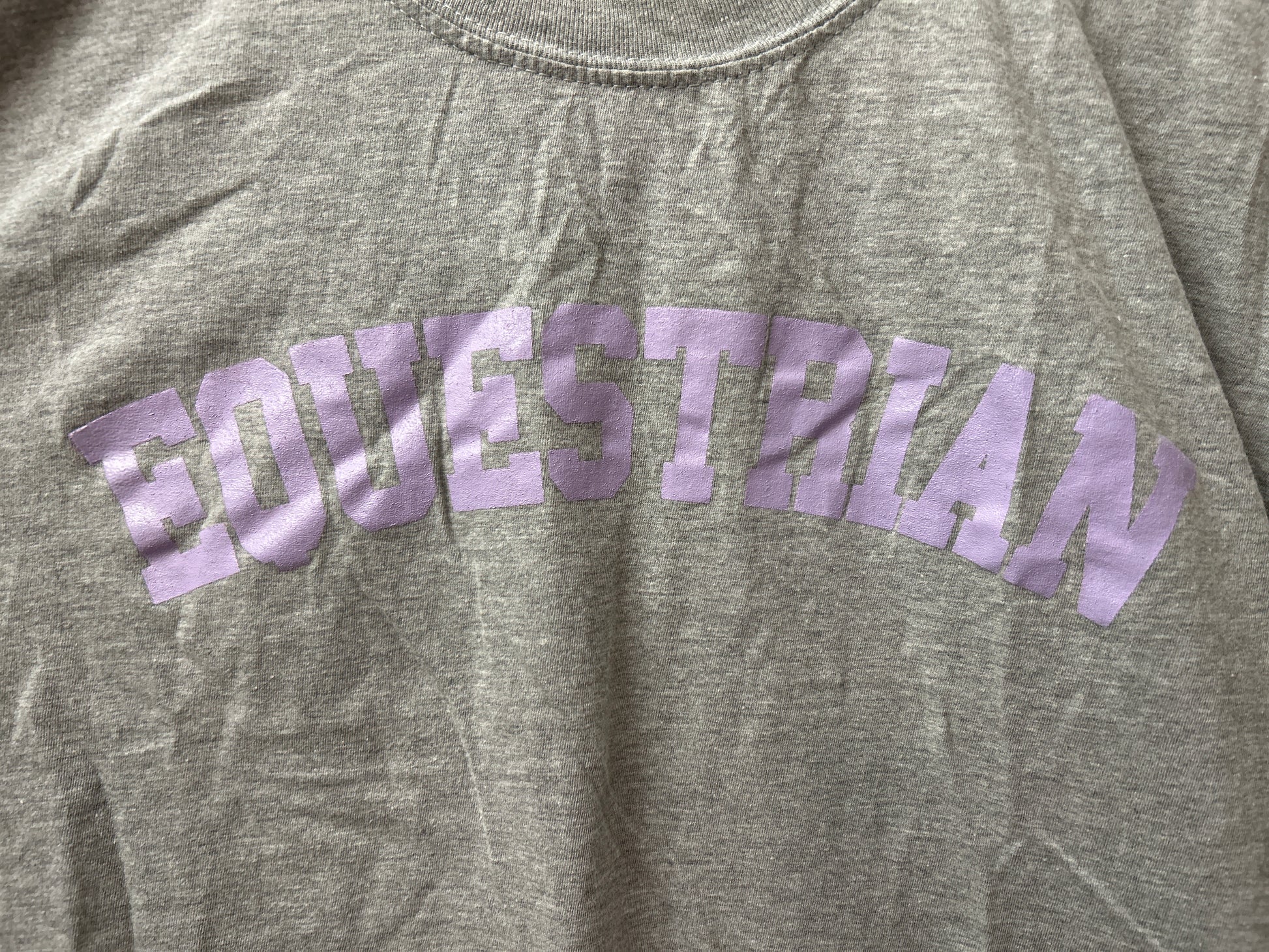 Gray & Bay Equestrian Grey Tee Shirt Large-Riding Shirts-Consignment-Evolution Equestrian Co.