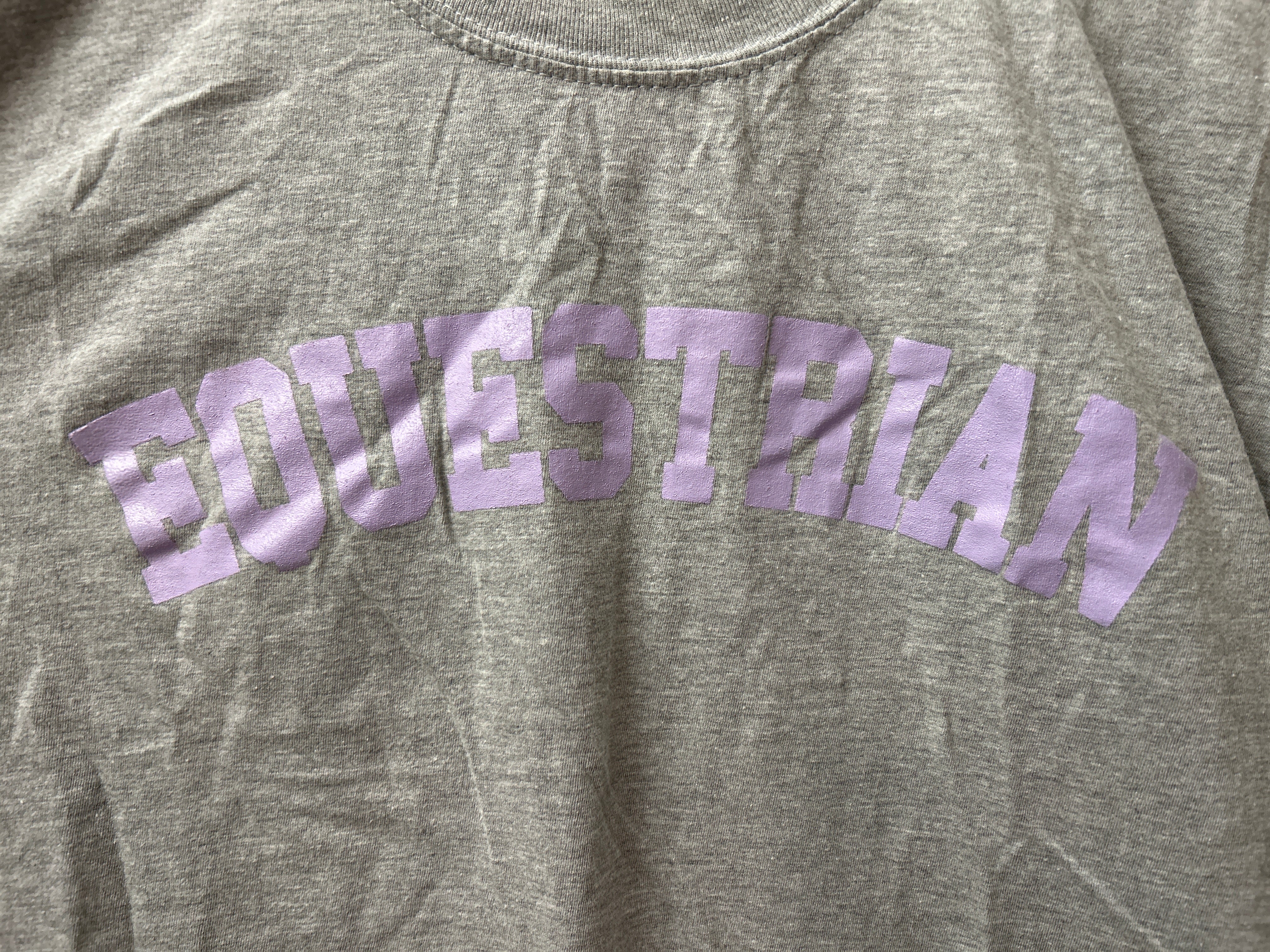 Gray & Bay Equestrian Grey Tee Shirt Large-Riding Shirts-Consignment-Evolution Equestrian Co.
