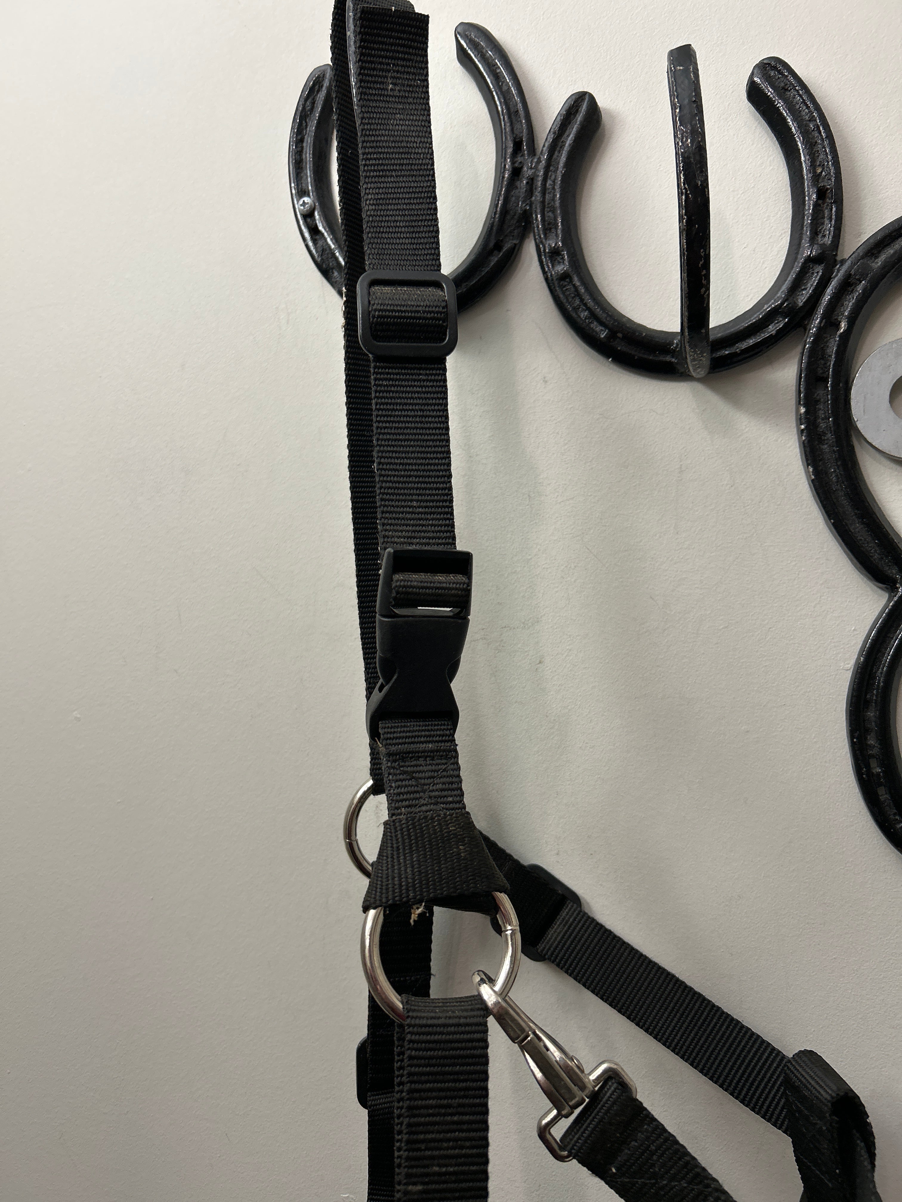 Grazing Muzzle Horse Size-Muzzle-Consignment-Evolution Equestrian Co.