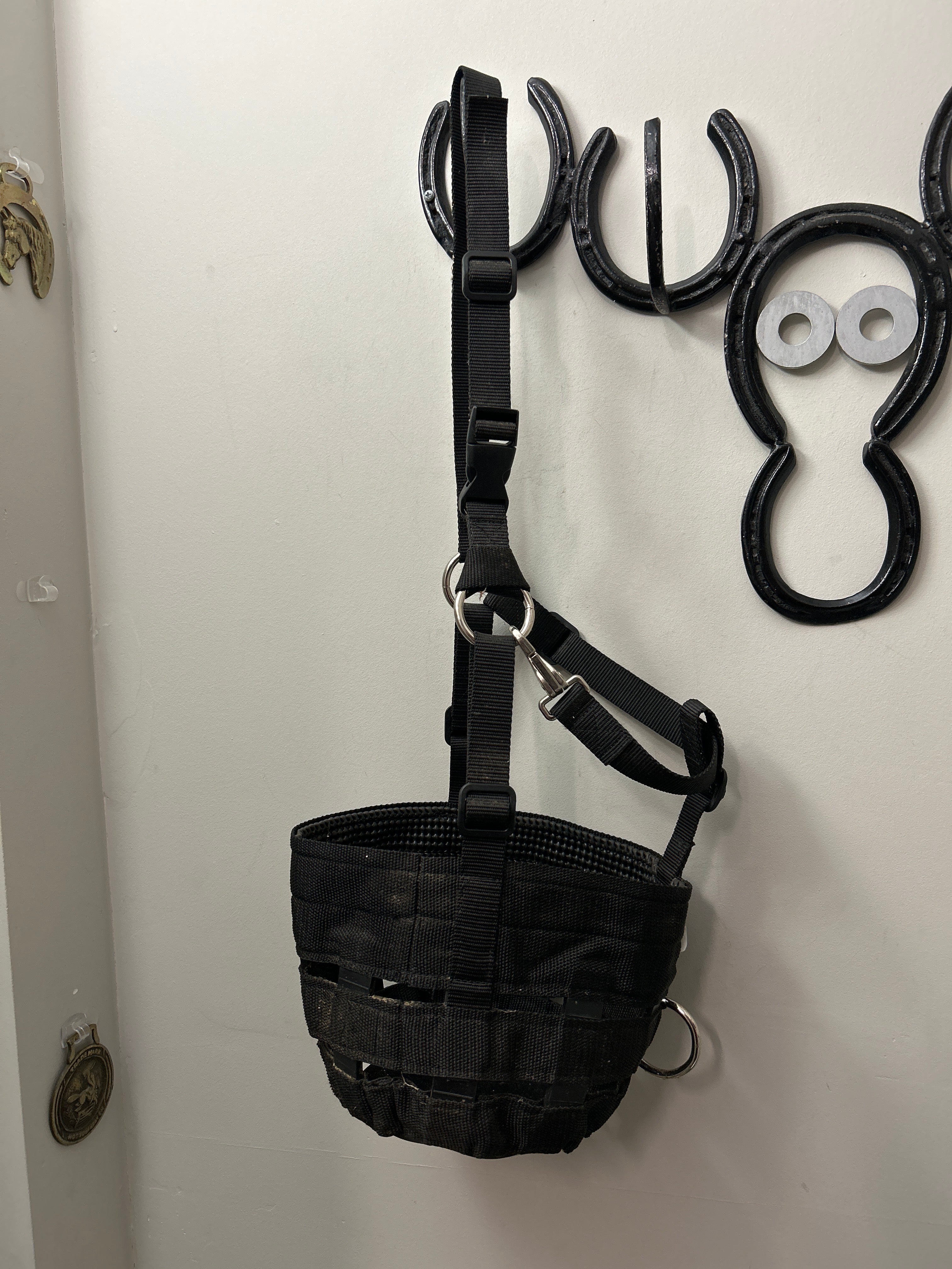 Grazing Muzzle Horse Size-Muzzle-Consignment-Evolution Equestrian Co.
