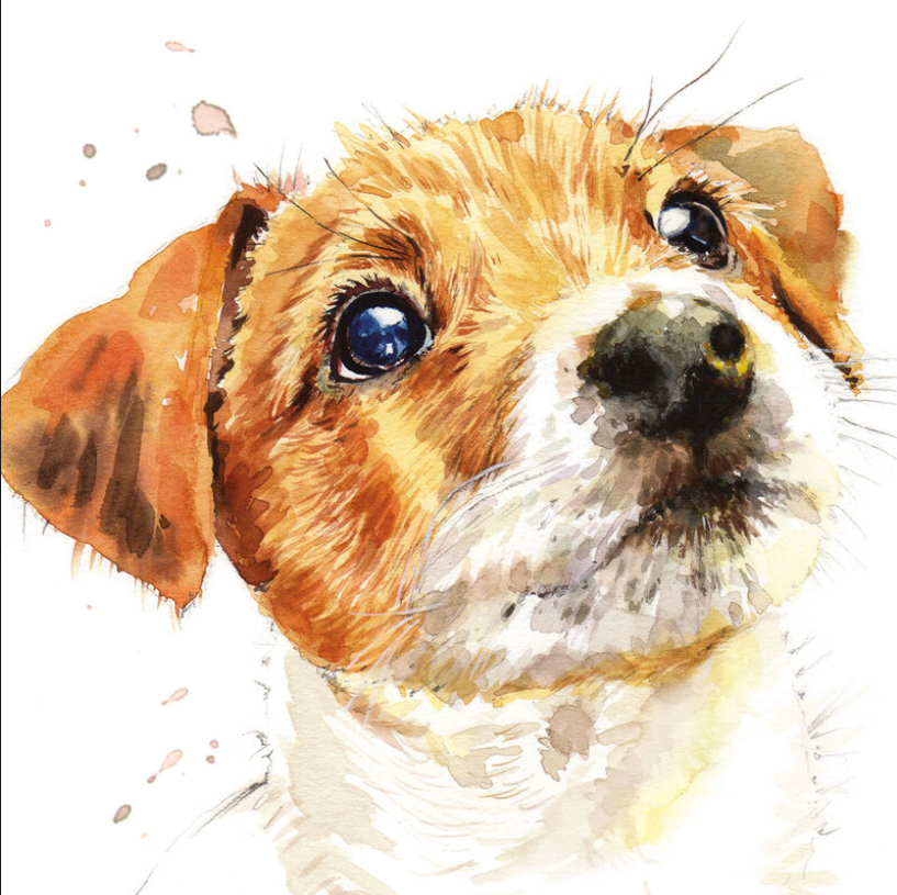 Greeting Card - Jack Russell