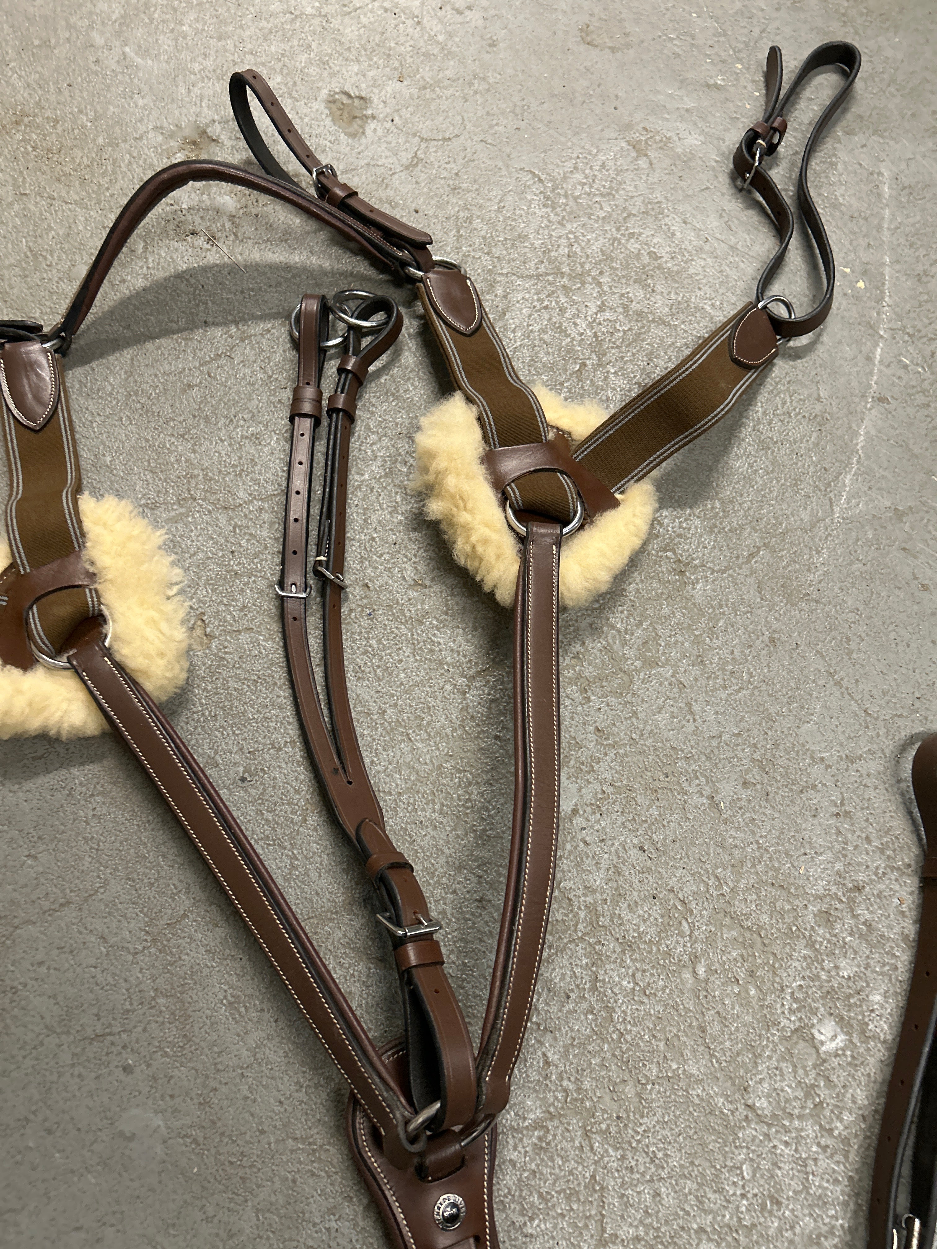 HDR 5 Point Breastplate with Running Martingale Cob-English Tack-Consignment-Evolution Equestrian Co.