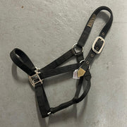 Hamilton Nylon Halter Black-Horse Tack-Consignment-Evolution Equestrian Co.
