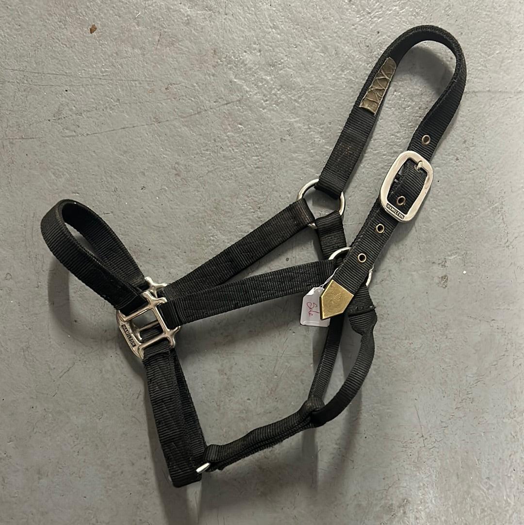 Hamilton Nylon Halter Black-Horse Tack-Consignment-Evolution Equestrian Co.