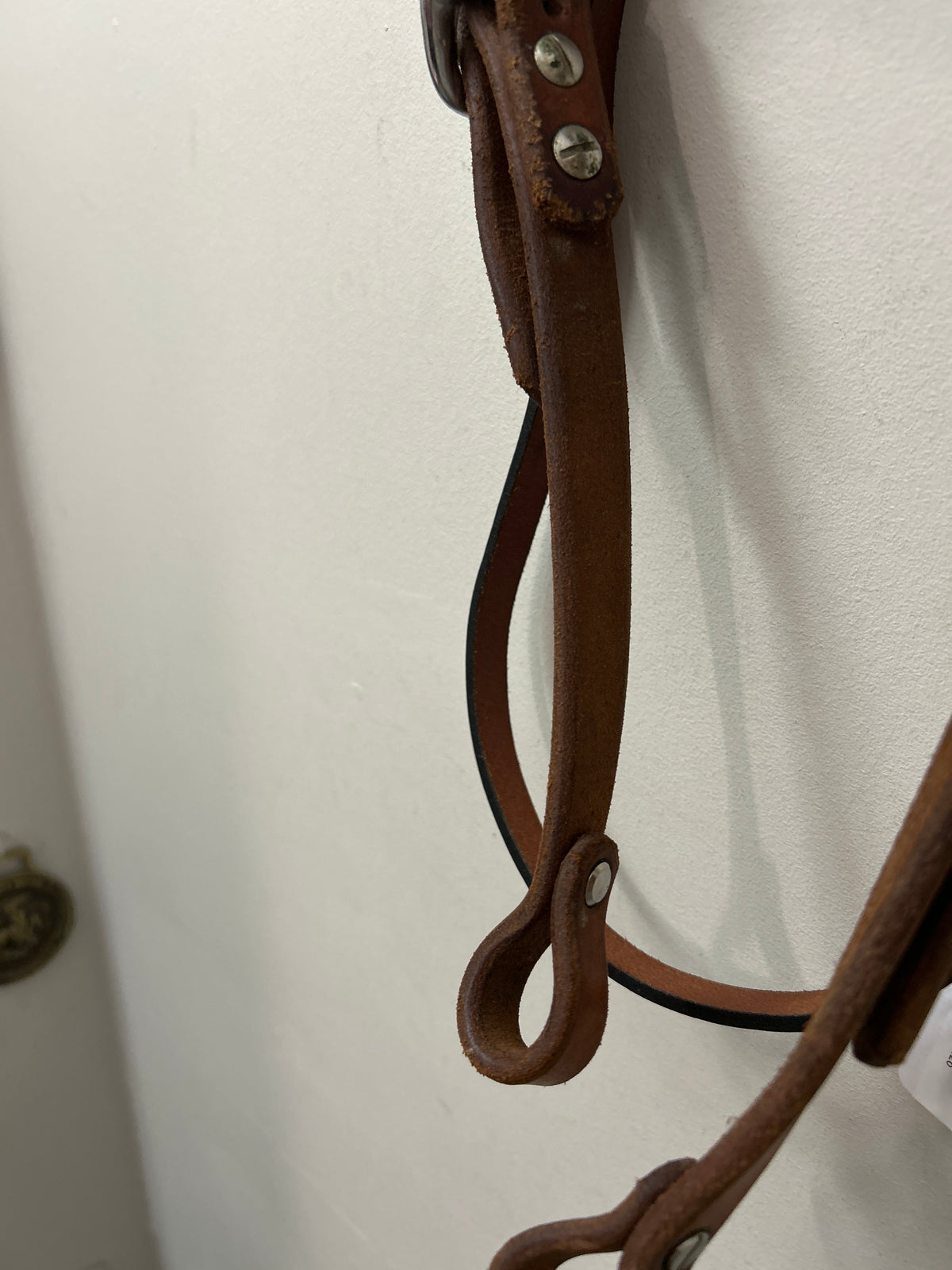 Harness Leather Headstall-Western Headstall-Consignment-Evolution Equestrian Co.
