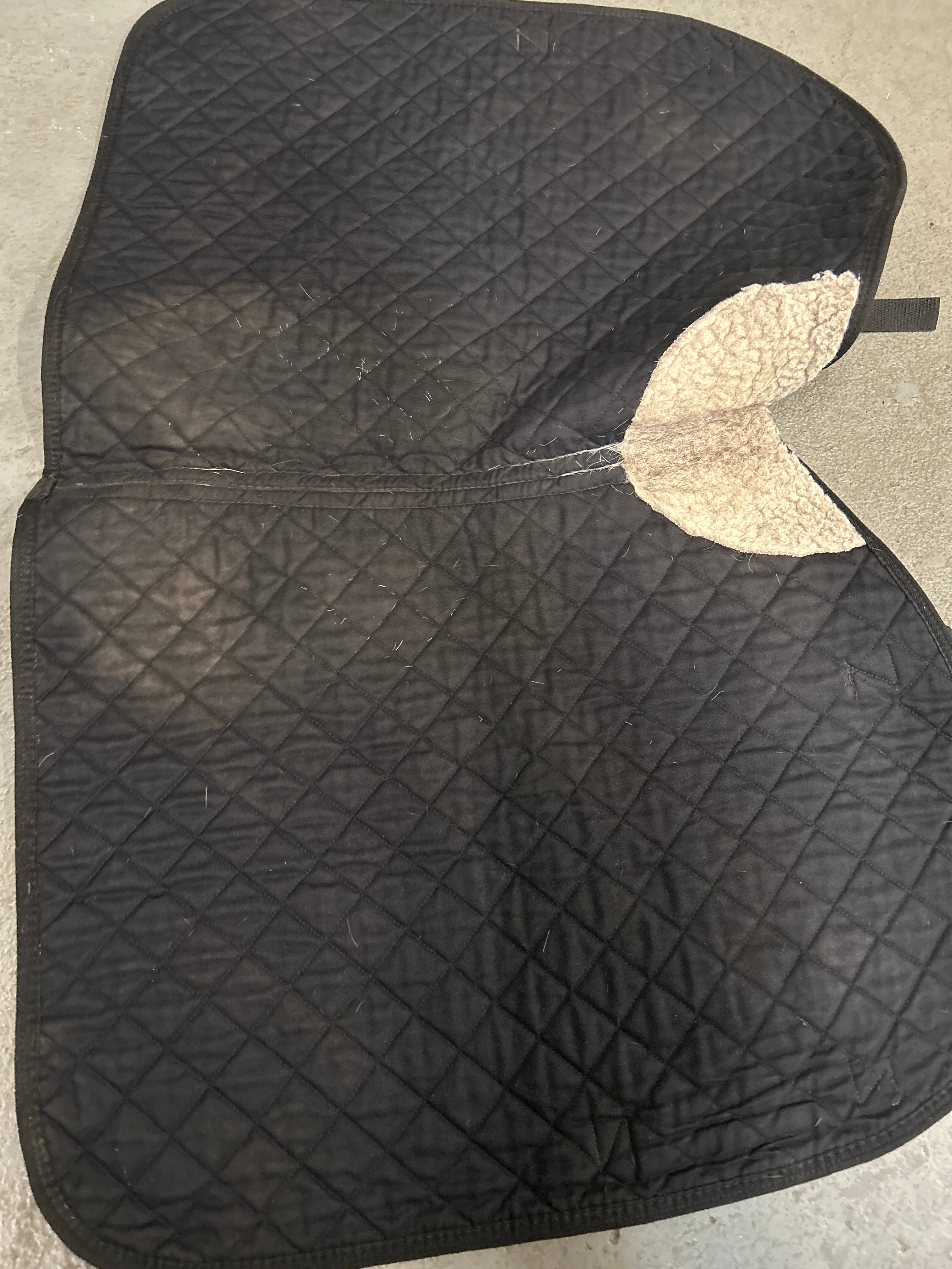 Harrods Knights Bridge English Saddle Pad-English Saddle Pad-Consignment-Evolution Equestrian Co.