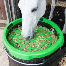 Haygain Slow Feeder Forager-Stable Supplies-Consignment-Evolution Equestrian Co.