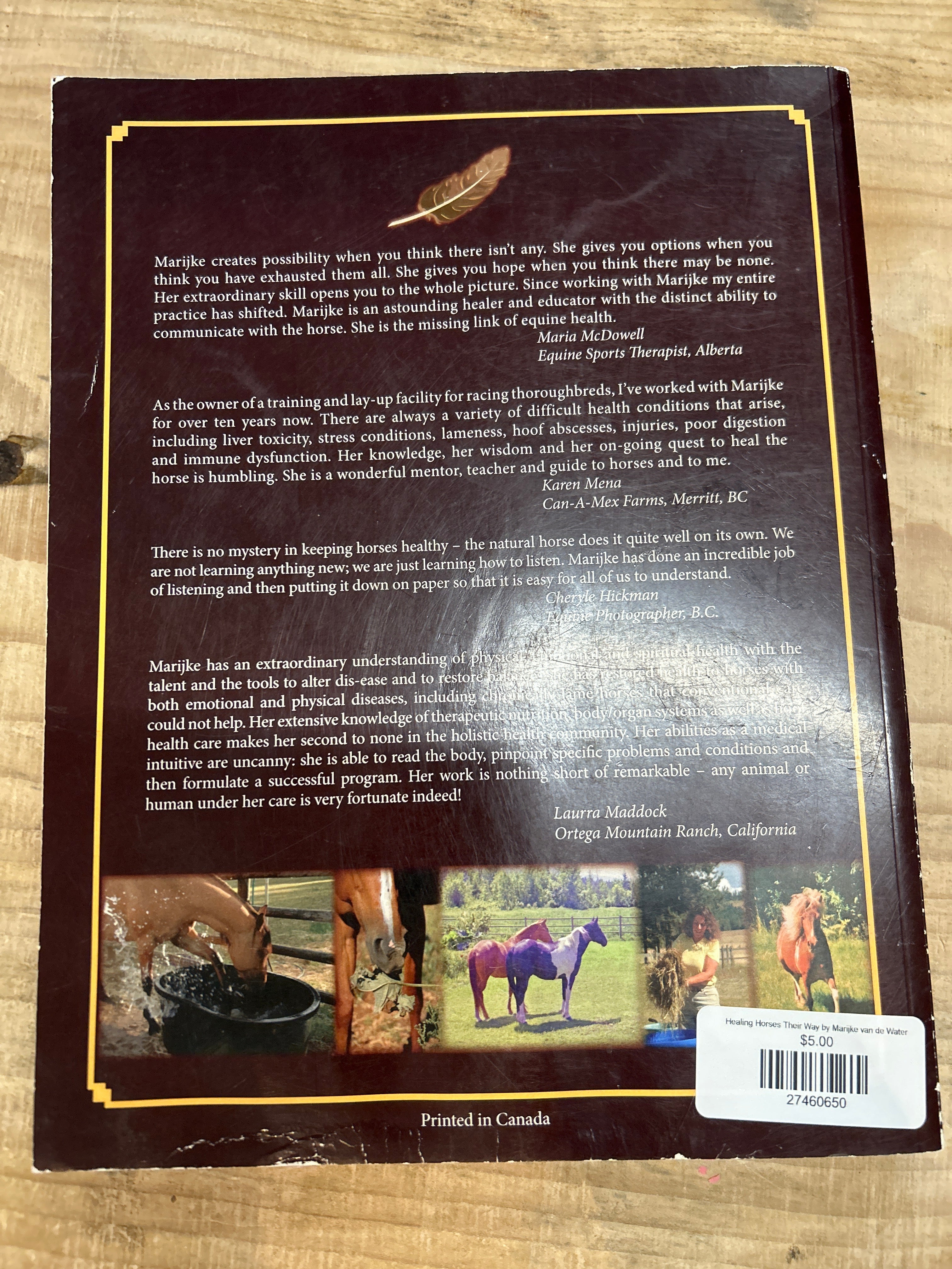 Healing Horses Their Way by Marijke van de Water-Book-Consignment-Evolution Equestrian Co.