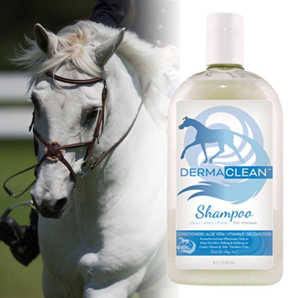 Healthy Hair Care Derma Clean-Horse Grooming-Can Pro Equestrian Supply-Evolution Equestrian Co.