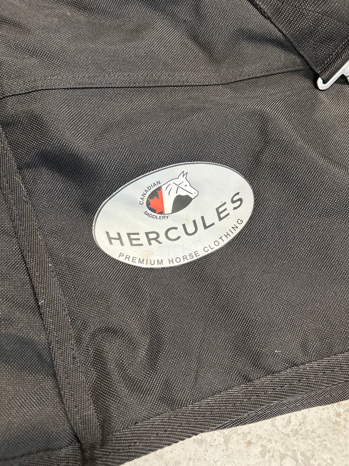 Hercules Winter Turnout Blanket 300g 81"-Horse Blanket-Consignment-Evolution Equestrian Co.