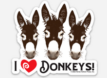 Load image into Gallery viewer, Hollow Horse Press Die-Cut Magnets-Toys-Can Pro Equestrian Supply-Evolution Equestrian Co.
