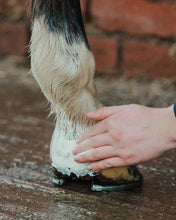Load image into Gallery viewer, Red Horse Honey Heel Cream
