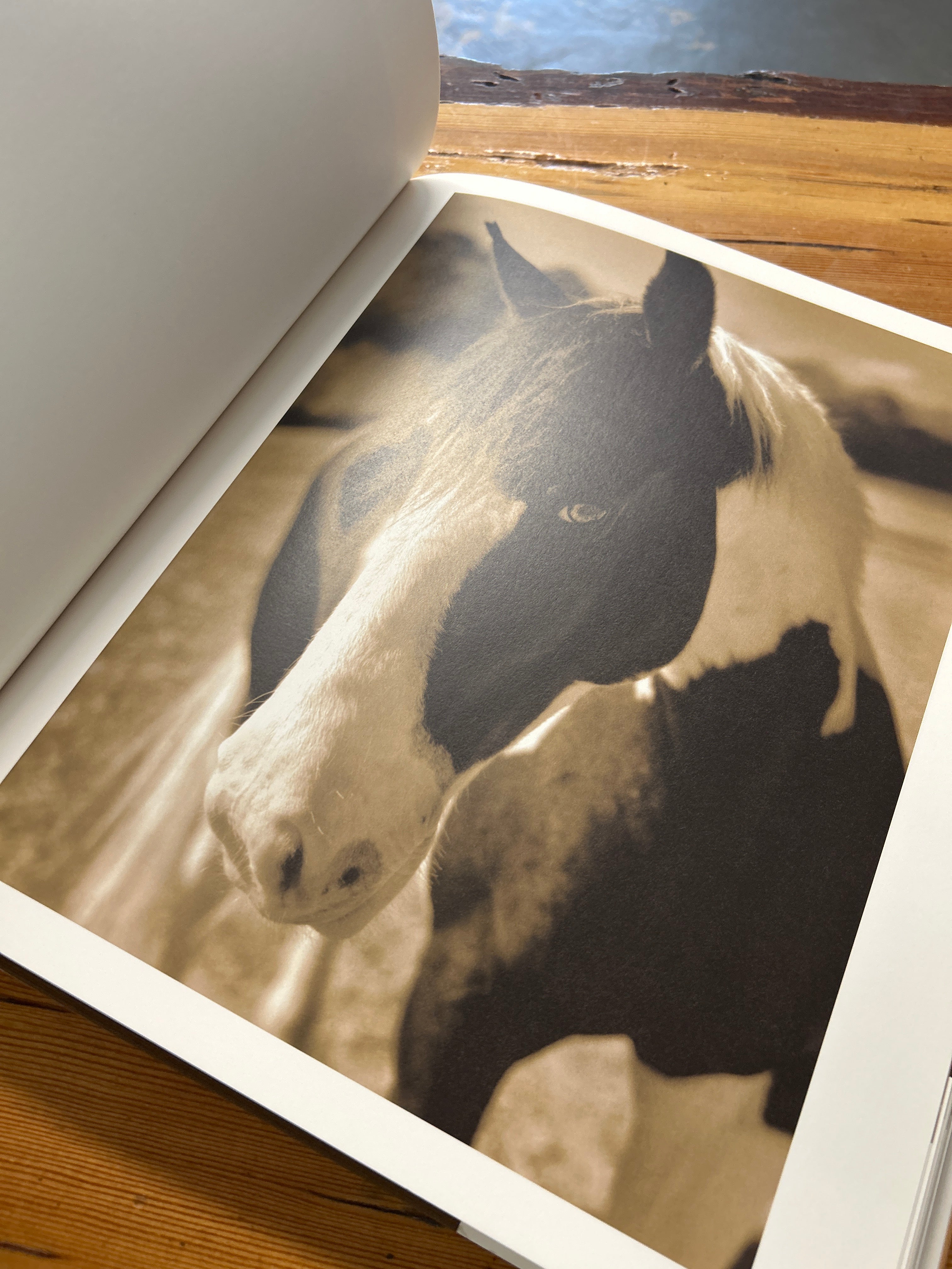 Horses Photographs Michael Eastman-Book-Consignment-Evolution Equestrian Co.