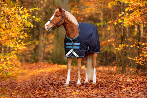 Horseware Amigo Bravo 12 Pony 250g Turnout Blanket-Horse Blanket-Consignment-Evolution Equestrian Co.