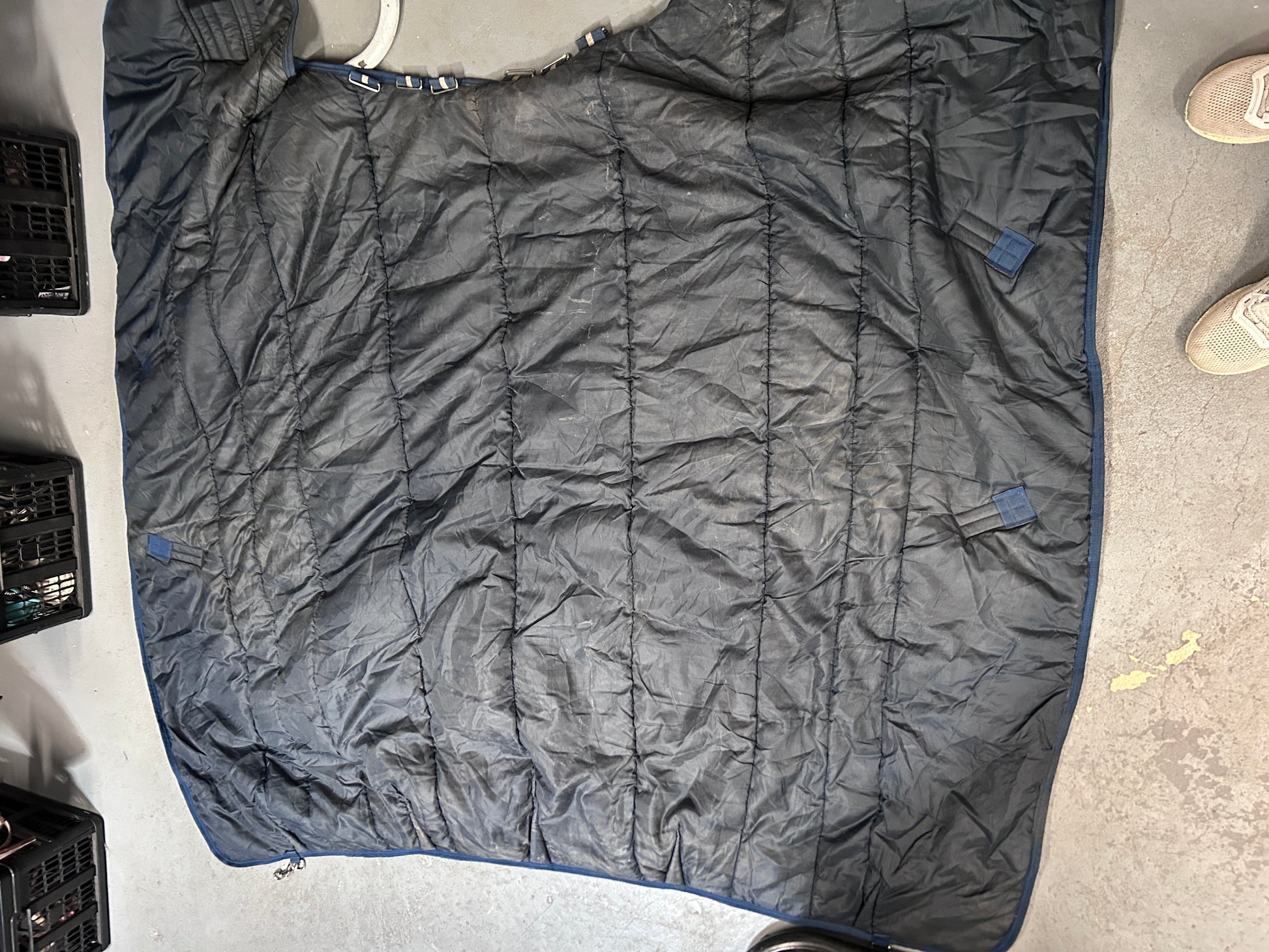 Horseware Amigo Insulator 78" 350g-Horse Blankets & Sheets-Consignment-Evolution Equestrian Co.