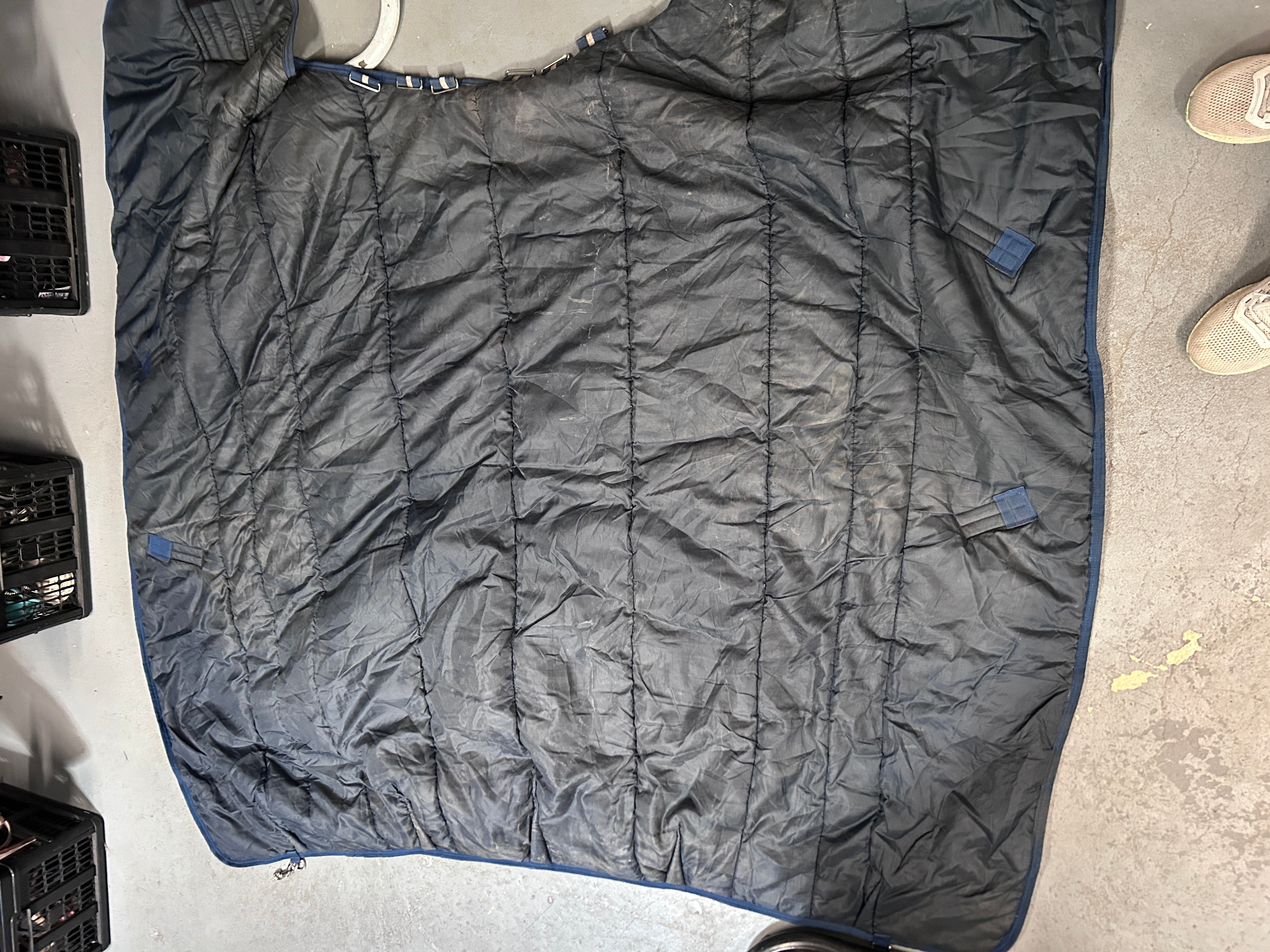 Horseware Amigo Insulator 78" 350g-Horse Blankets & Sheets-Consignment-Evolution Equestrian Co.