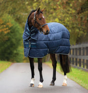 Amigo Insulator 78"/6'6" 350g with 150g hood-Horse Blankets & Sheets-Consignment-Evolution Equestrian Co.