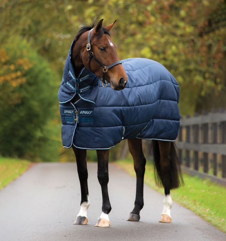 Amigo Insulator 78"/6'6" 350g with 150g hood-Horse Blankets & Sheets-Consignment-Evolution Equestrian Co.