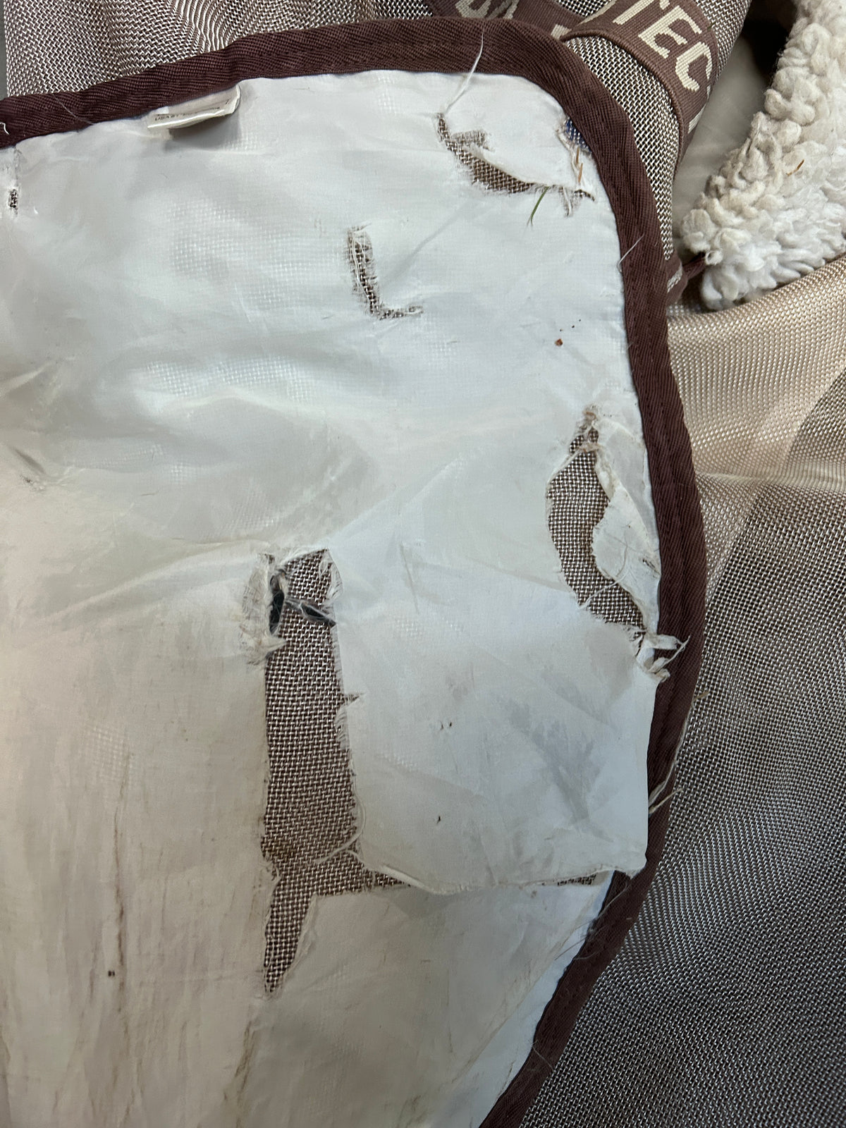 Horseware Ireland Rambo Protector Fly Sheet 81"-Horse Blankets & Sheets-Consignment-Evolution Equestrian Co.