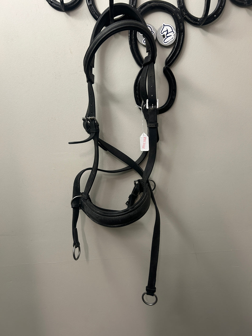Black Bitless Bridle Horse