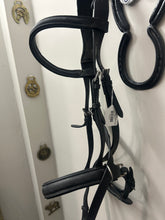 Load image into Gallery viewer, Black Bitless Bridle Horse
