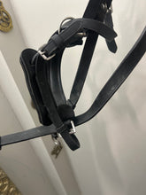 Load image into Gallery viewer, Black Bitless Bridle Horse
