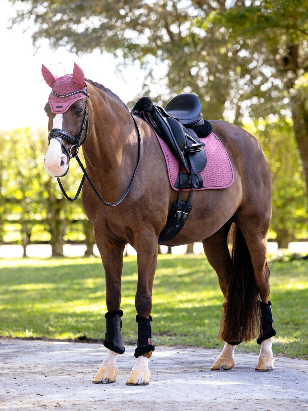 LeMieux Essence Dressage Saddle Pad Rosewood