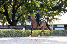 Load image into Gallery viewer, LeMieux Essence Dressage Saddle Pad Navy
