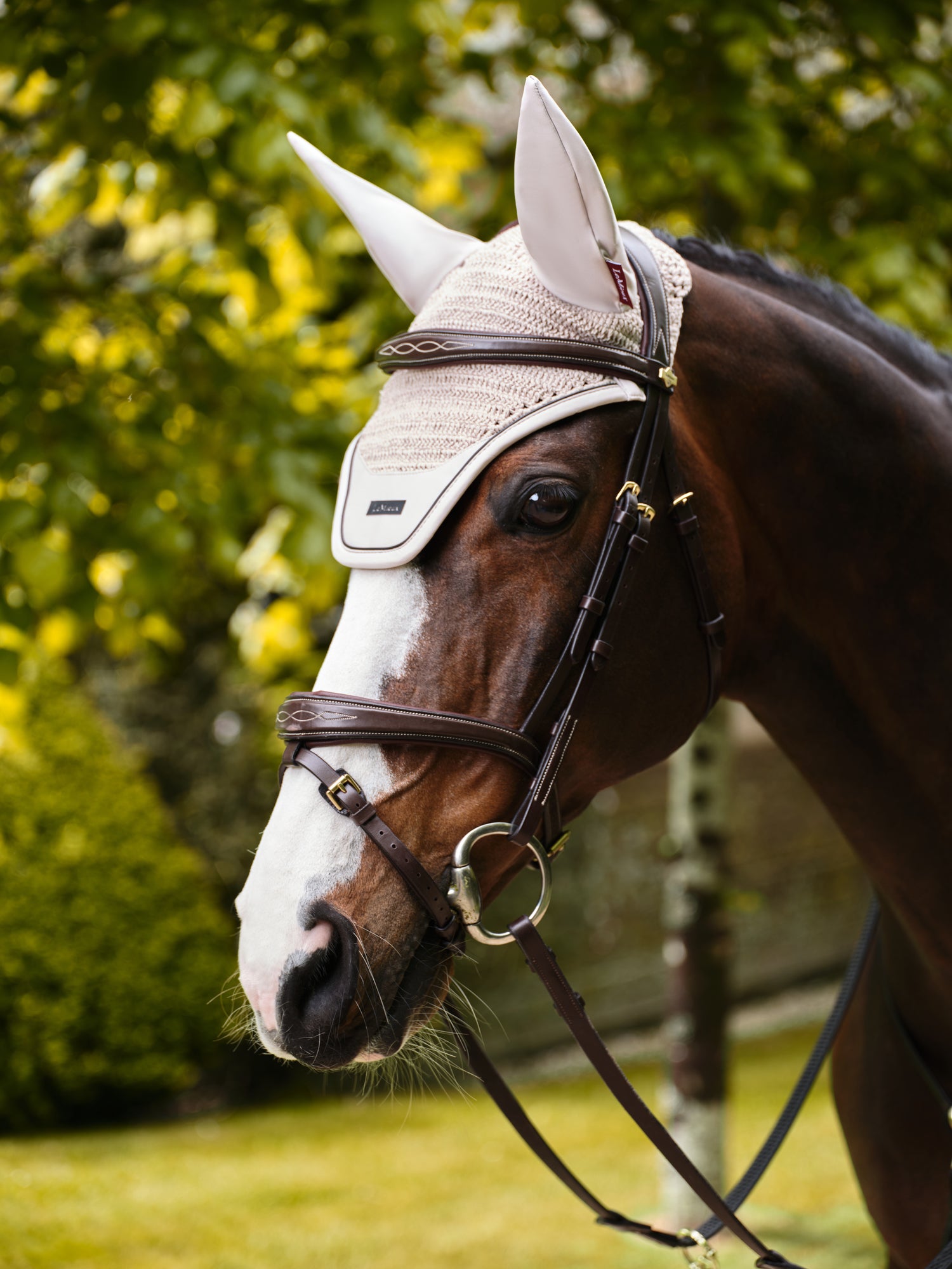 Clearance – Evolution Equestrian Co.