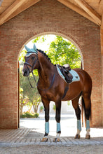 Load image into Gallery viewer, LeMieux Loire Classic Aqua GP Saddle Pad
