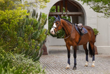 Load image into Gallery viewer, LeMieux Loire Classic Dusk Close Contact Saddle Pad
