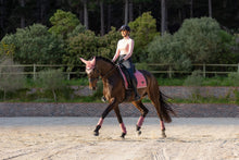 Load image into Gallery viewer, LeMieux Loire Classic Peony Dressage Saddle Pad
