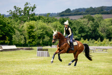 Load image into Gallery viewer, LeMieux Suede Close Contact Saddle Pad Mimosa
