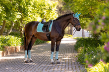 Load image into Gallery viewer, LeMieux Suede Dressage Saddle Pad Lagoon
