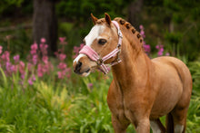 Load image into Gallery viewer, LeMieux Mini Vogue Peony Halter and Leadrope
