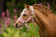 Load image into Gallery viewer, LeMieux Mini Vogue Peony Halter and Leadrope
